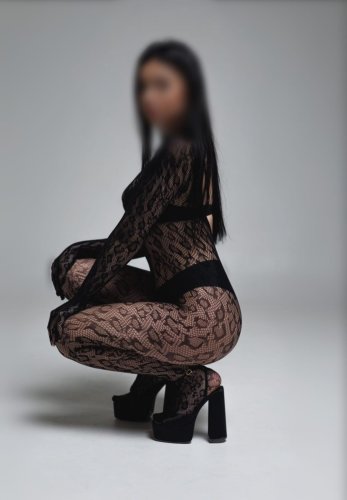 ANNA NOVINKA ST- ČT 10.-11.12.